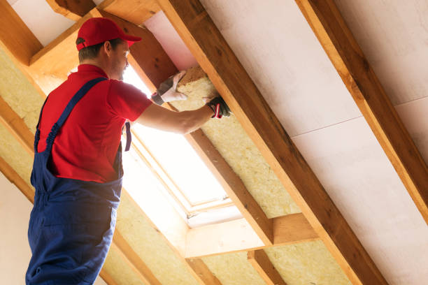 Best Blown-In Insulation  in Borrego Springs, CA